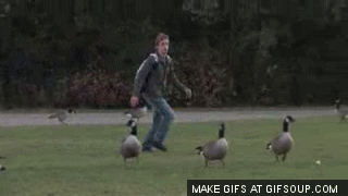 http://media.collegetimes.com/uploads/2014/06/chasing2.gif
