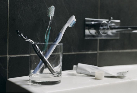 14.photolibrary_rf_photo_of_toothbrushes_in_bathroom