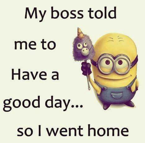 Minion Memes For Moms Facebook