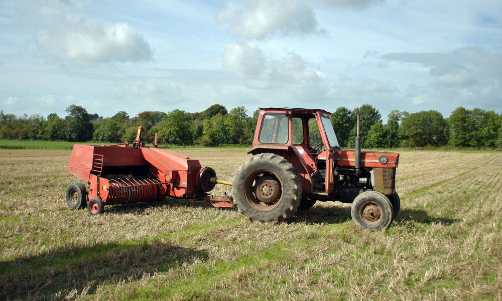 There's A Cavan World Record Holder And You'll Never Guess What For