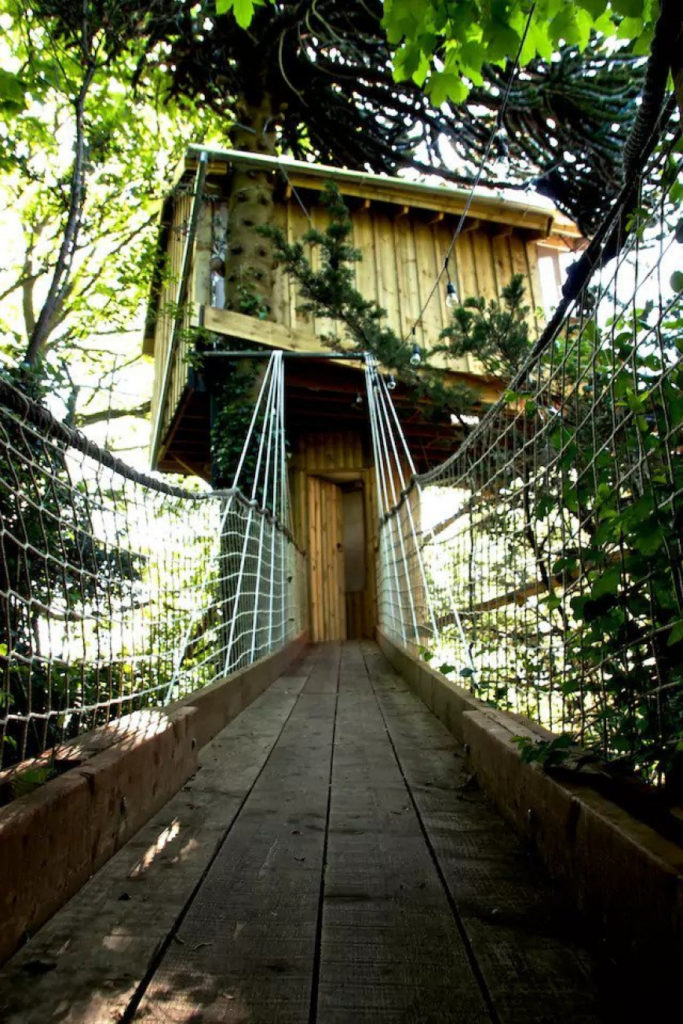 Airbnb Treehouse